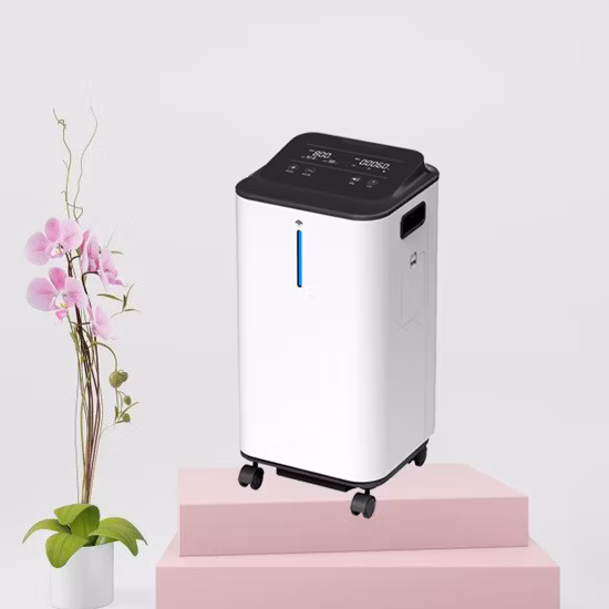 5L Ultra Low Noise Nebulizer Oxygen Concentrator with Adjustable Flow & Purity Monitor