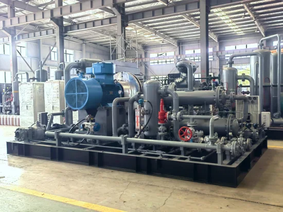 Dwf-4.1, (10-14) -20 Oilfree Piston Compressor Natural Gas Compresso 40 Year Old Factory Guarantees Efficient and Stable Use of Compressors