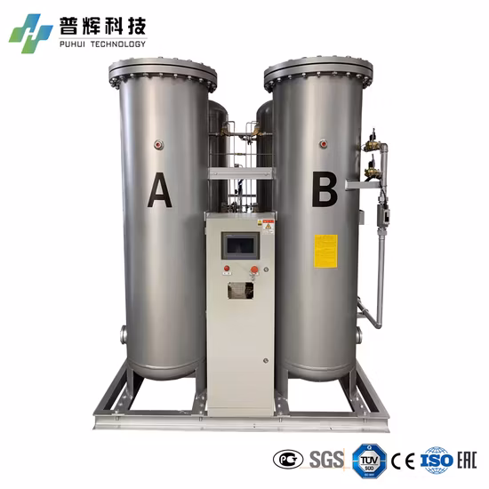 Nitrogen Plant China Manufacturer Hdfo-10 Psa Nitrogen Generator for Making Gas Nitrogen