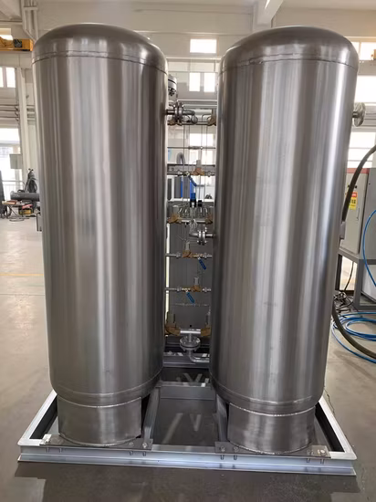 Nitrogen Plant China Manufacturer Hdfo-10 Psa Nitrogen Generator for Making Gas Nitrogen