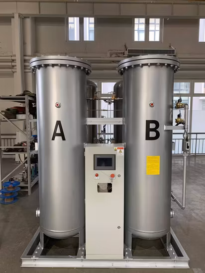 Nitrogen Plant China Manufacturer Hdfo-10 Psa Nitrogen Generator for Making Gas Nitrogen