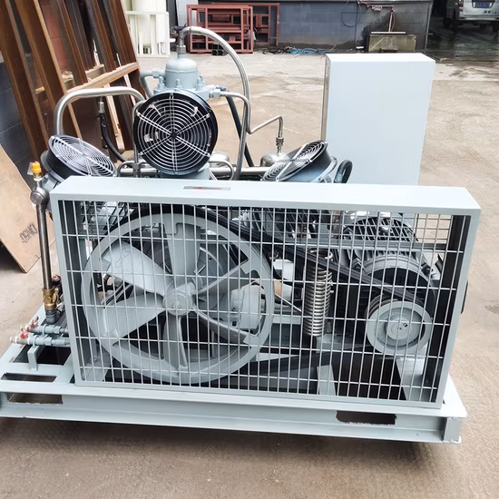 Air Gas Pump Oil Free O2 Compressor 150 Bar Oxygen Booster for Fish Aquaculture