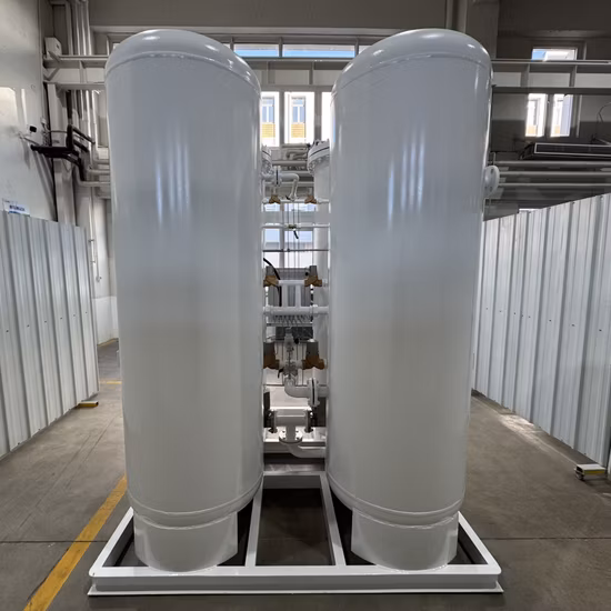 Psa Oxygen Generator Psa Medical Oxygen Plant for Cylinder Filling Station