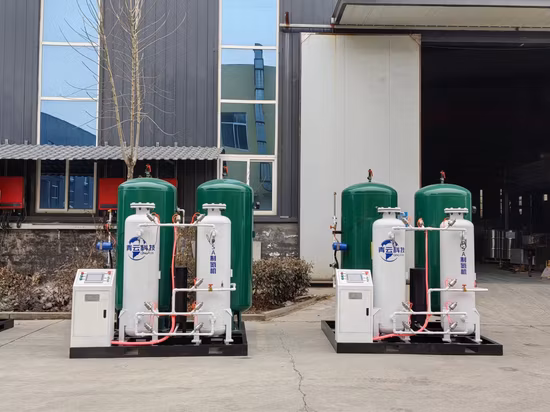 Industrial Oxygen 20nm3/H Psa Generator